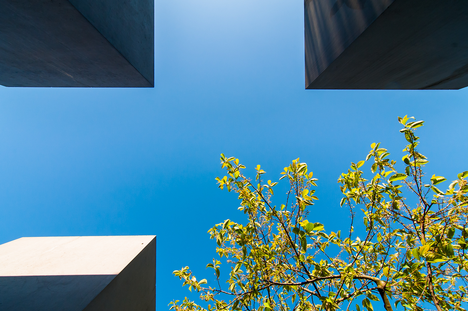 Pillar of Hope and Life