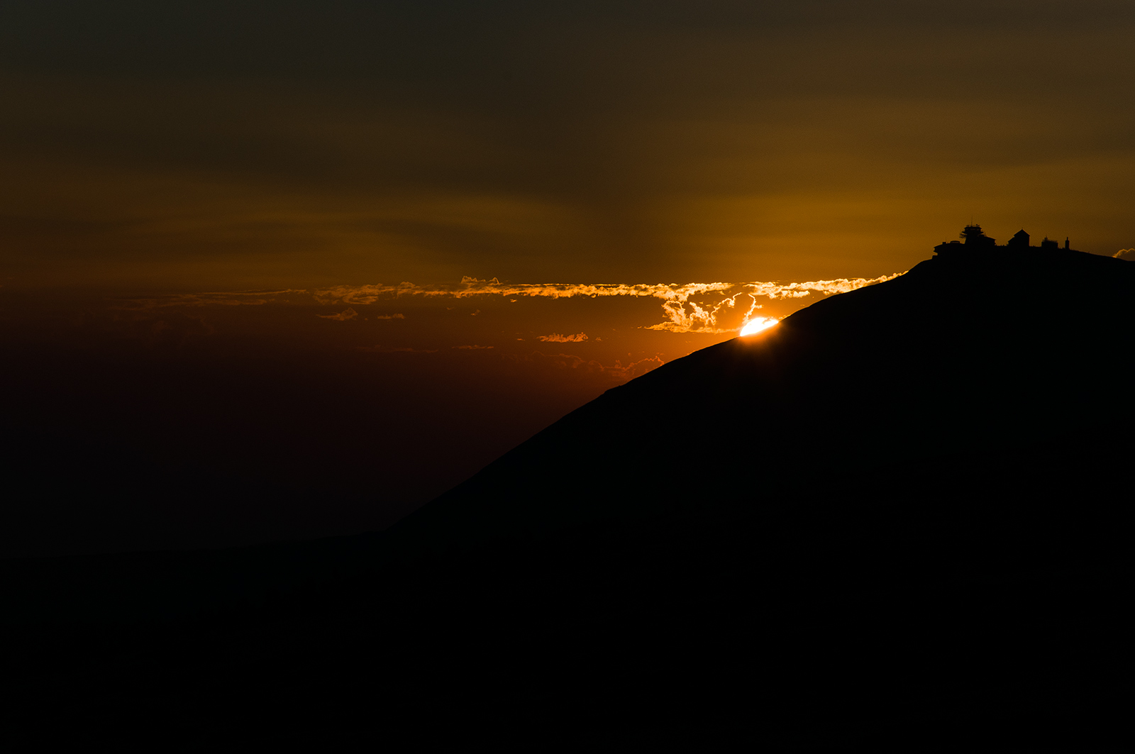 Early in the Morning