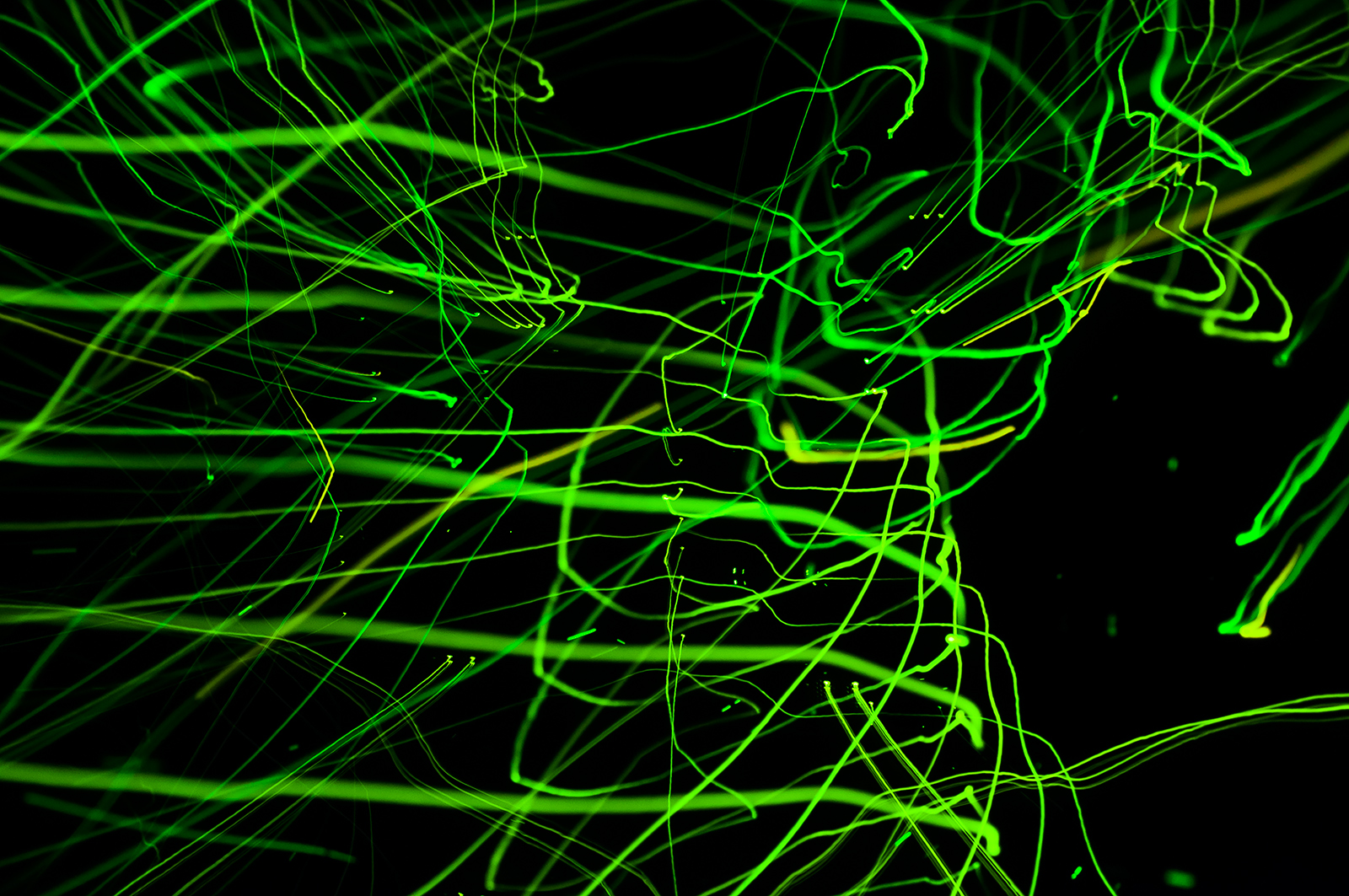 Flying Through The Parallel Universe IV