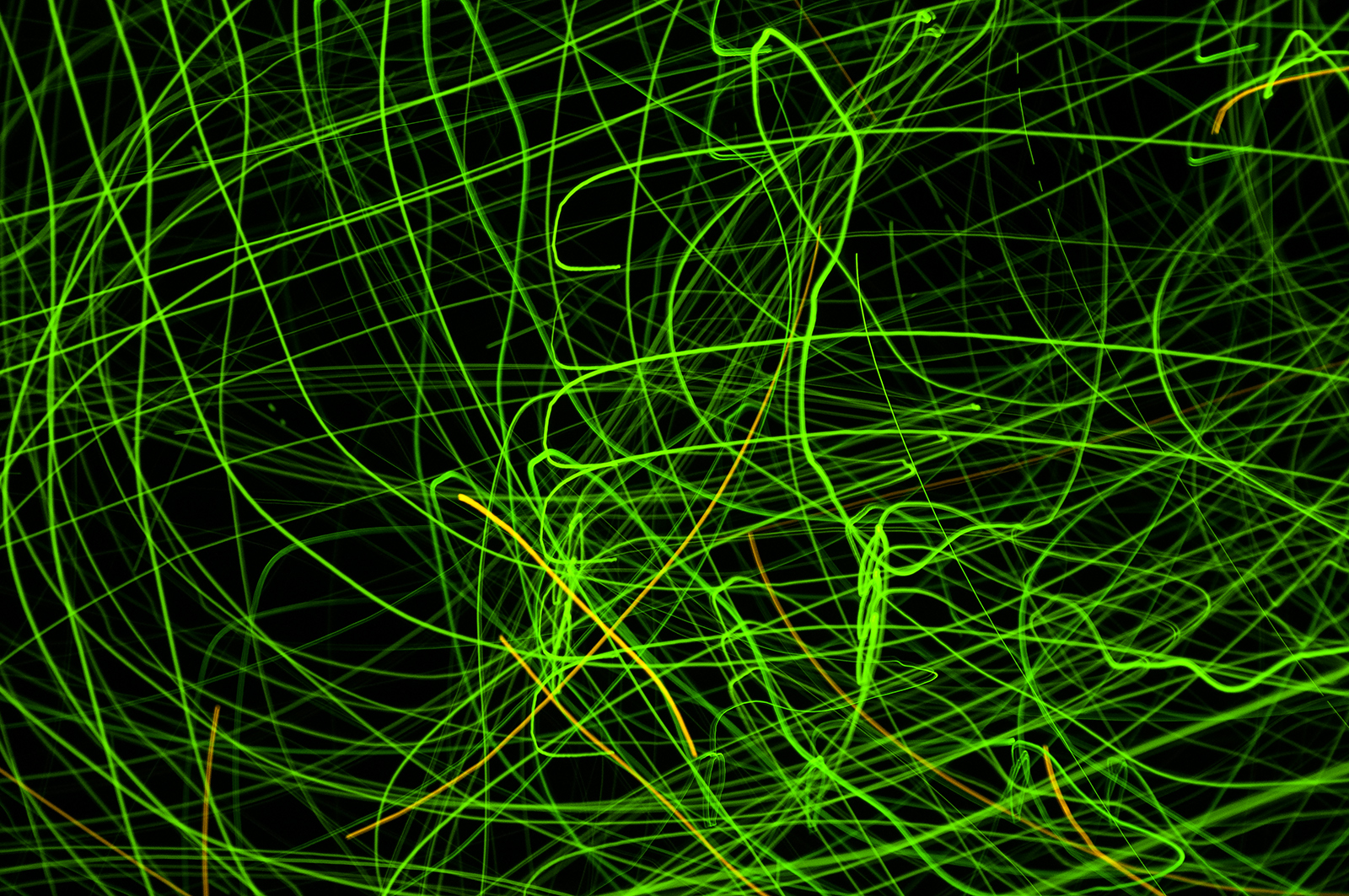 Flying Through The Parallel Universe V