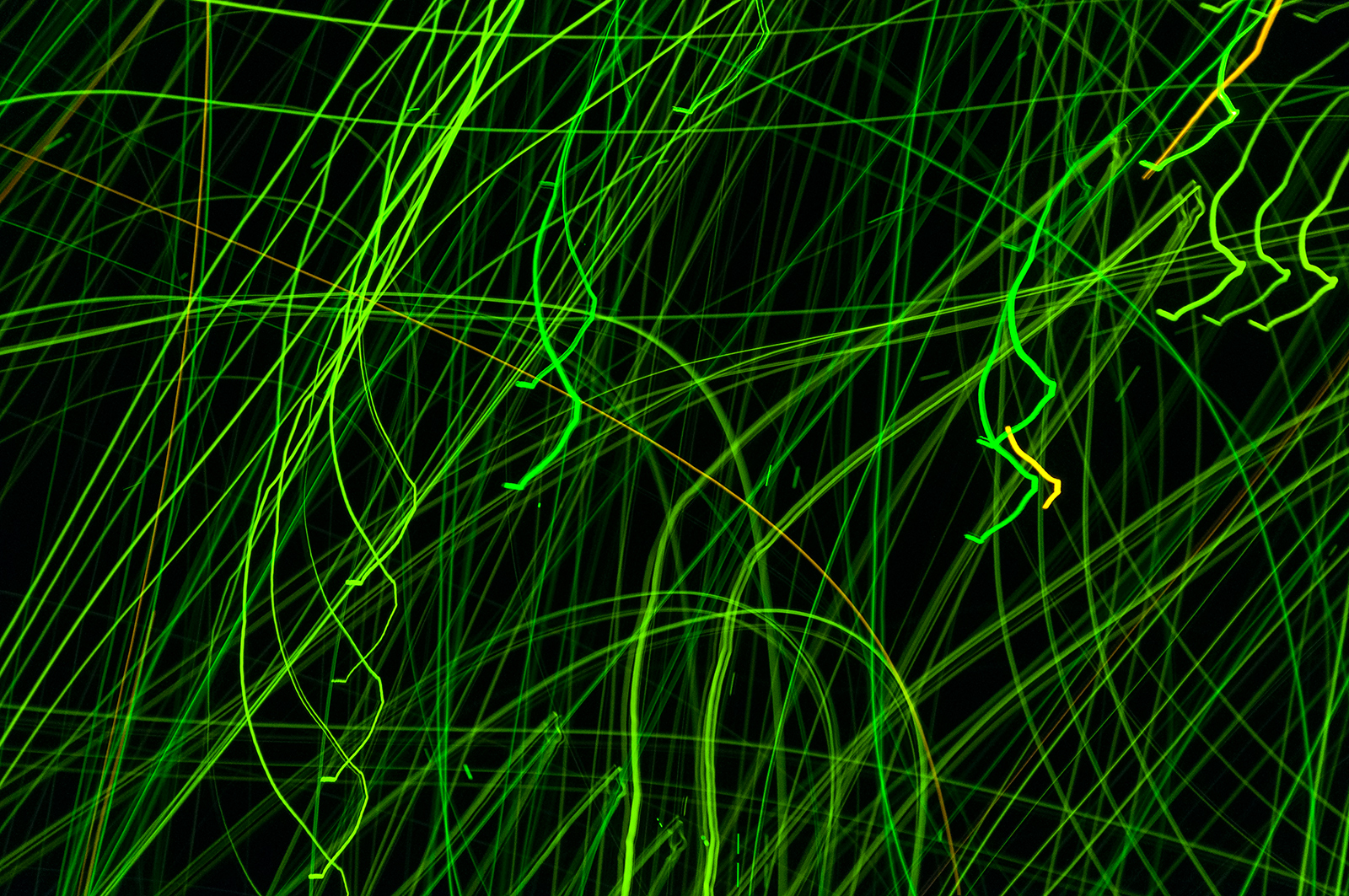 Flying Through The Parallel Universe VI