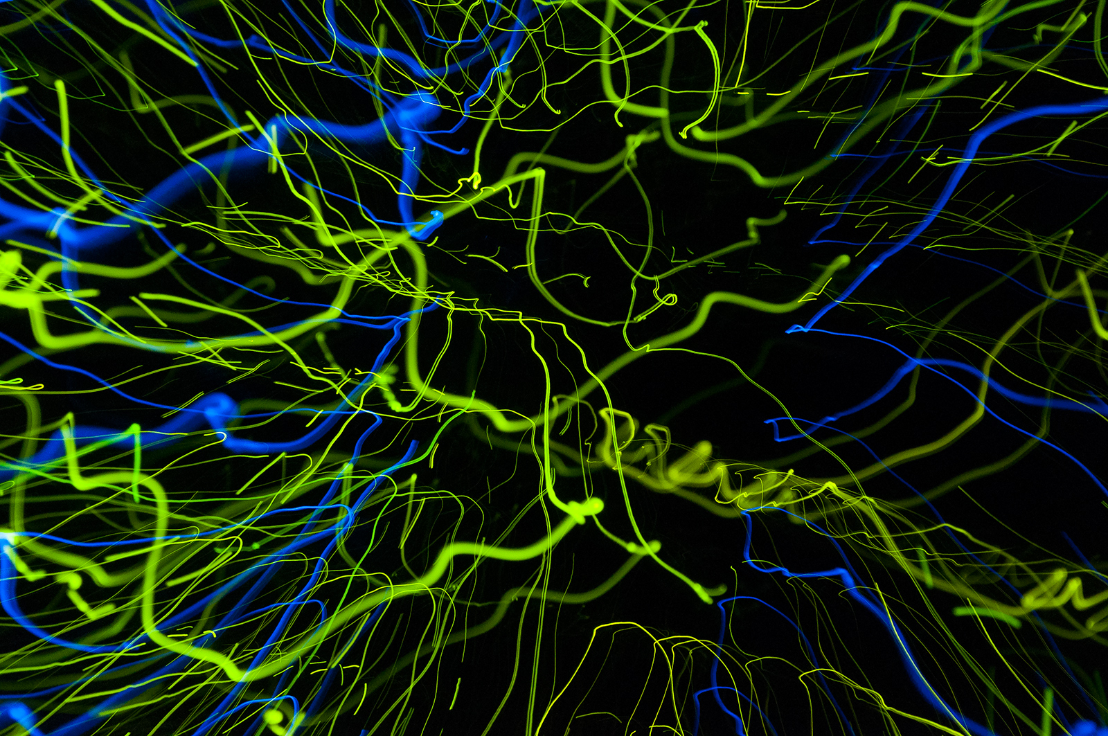 Flying Through The Parallel Universe VIII