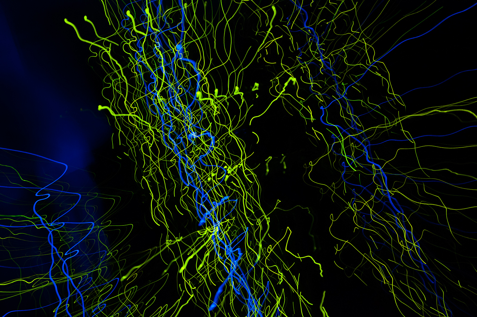 Flying Through The Parallel Universe I