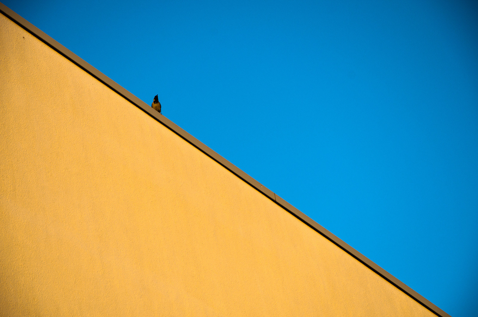 Will You Come To Me?